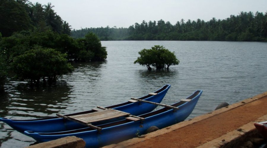 Koggala Lake Safari
