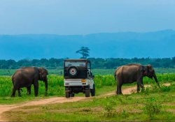 Udawalawa National Park