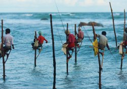 Stilt fishing