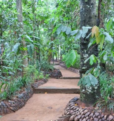 Herbal and spice garden