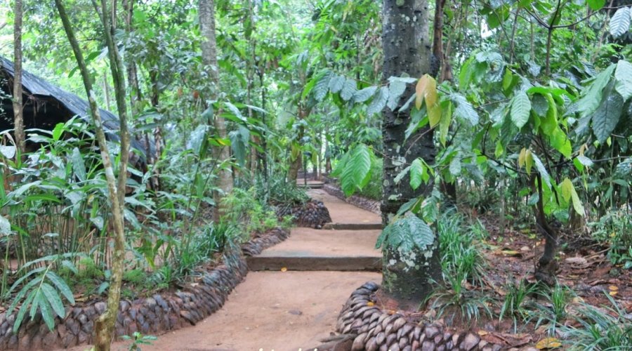 Herbal and spice garden