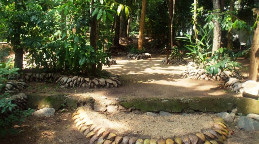 Herbal and spice garden