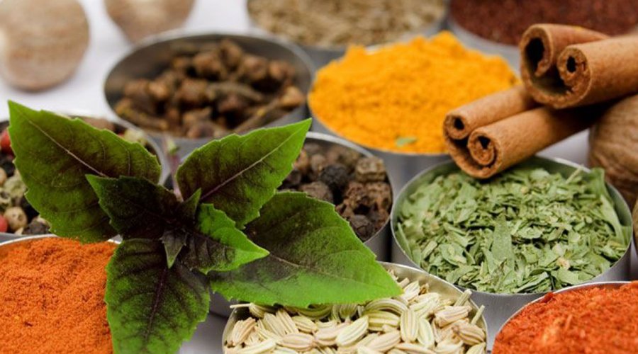 Herbal and spice garden