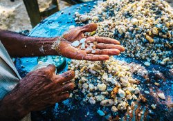 Moonstone Mine Meetiyagoda