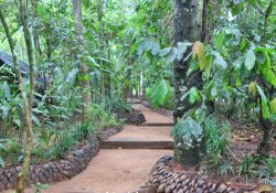 Herbal and spice garden