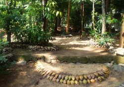 Herbal and spice garden