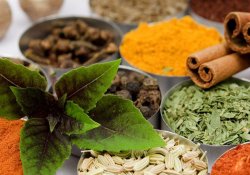 Herbal and spice garden