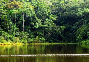 kanneliya Rain Forest Tour