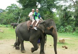  Elephant ride.